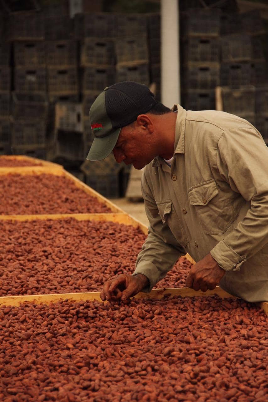 Nibs de cacao Fino y de Aroma por 250 Gramos