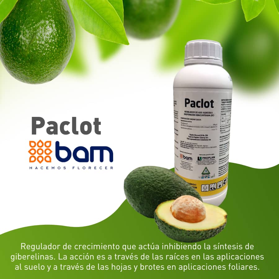 Regulador de crecimiento Paclot
